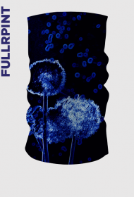 dmuchawce w negatywie