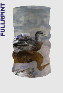 komin Tatry