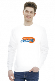 UBEZPIECZAM ZDALNIE