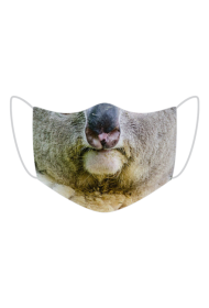 KOALA mask