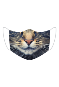cat mask