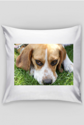 Poszewka na poduszkę z psem Beagle