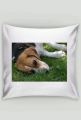 Poszewka na poduszkę z psem Beagle