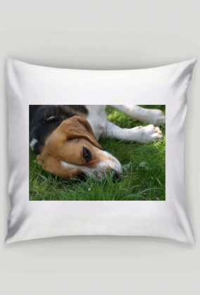 Poszewka na poduszkę z psem Beagle