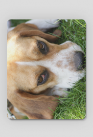 Podkładka pod mysz z psem rasy Beagle