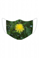 Maska maseczka natura mlecz mniszek lekarski kwiat