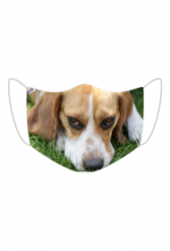 Maska maseczka pies Beagle