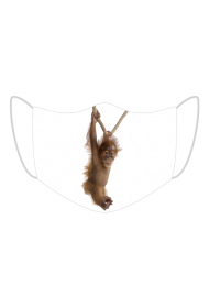 Wisząca Małpka