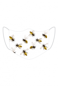 Osy