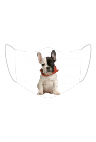 Buldog H
