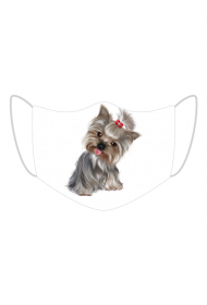 York Pupy White H
