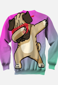 Bluza Bez Kaptura Pugg