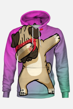 Bluza z Kapturem Pugg