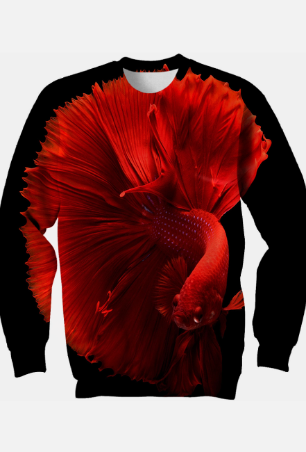 Red Betta Fish