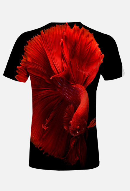 Red Betta Fish