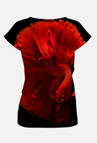 Red Betta Fish
