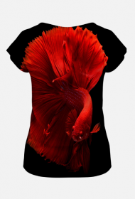 Red Betta Fish