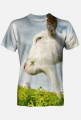 Koszulka FullPrint - Koza w rzepaku