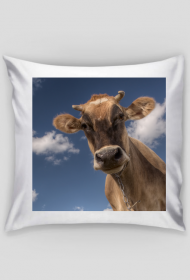 Poszewka na poduszkę 39x39 - Krowa brązowa