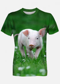 Koszulka FullPrint - Świnka na łące
