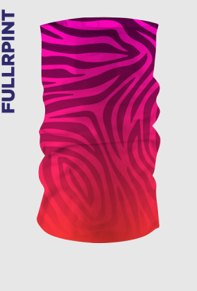 Zebra 01