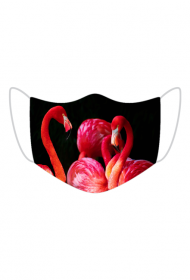 Flamingoo