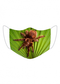 Maseczka - Tarantula na liściu