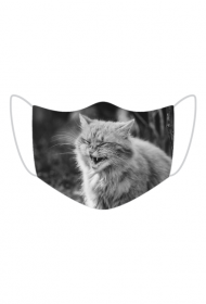 Strong cat