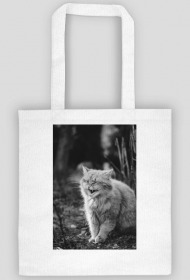 Strong cat