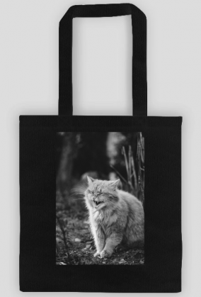 Strong cat