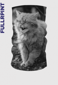 Strong cat