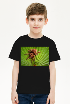 Koszulka dziecięca - Tarantula na liściu