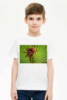 Koszulka dziecięca - Tarantula na liściu