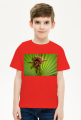 Koszulka dziecięca - Tarantula na liściu