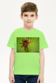 Koszulka dziecięca - Tarantula na liściu