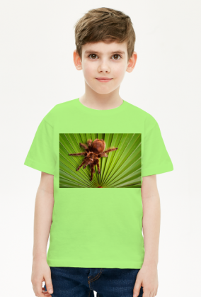 Koszulka dziecięca - Tarantula na liściu