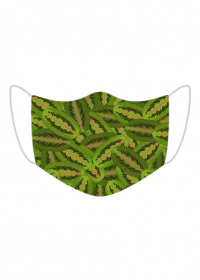 Maska w zielone liście maranty
