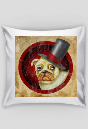 Poszewka na poduszkę 39x39 - Mops w cylindrze