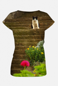 Kocik na schodach (damska)