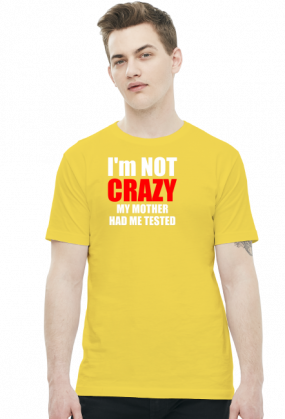 Big Bang Theory - I'm not crazy