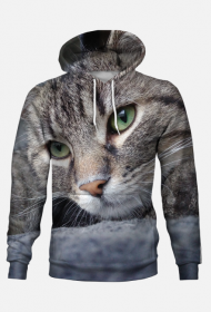 Bluza męska
