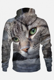 Bluza męska