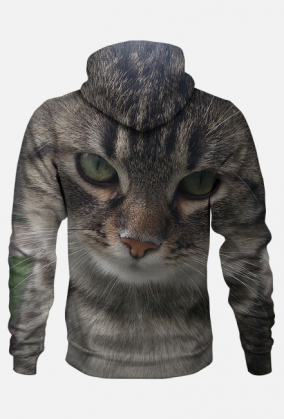 Bluza męska