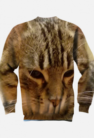 Bluza męska