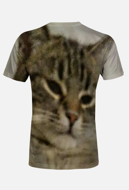 T-shirt męski