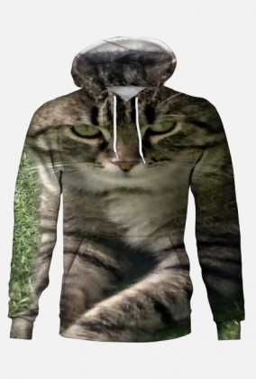 Bluza męska