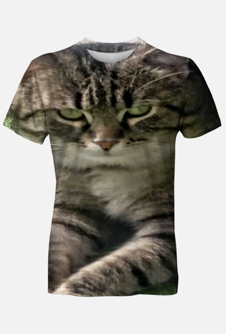 T-shirt męski