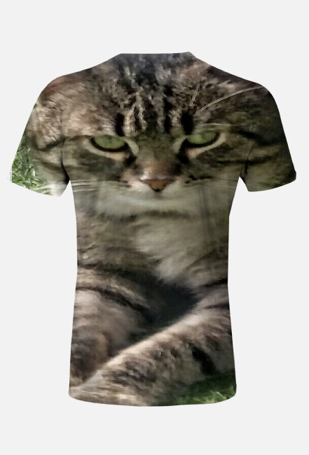 T-shirt męski