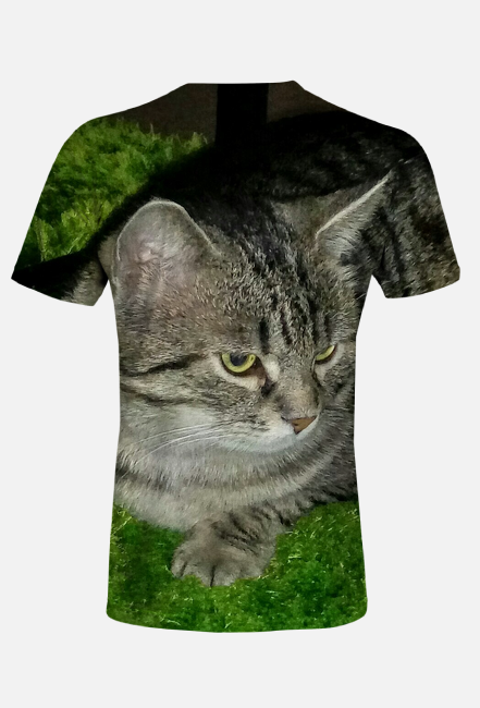 T-shirt męski