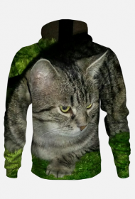 Bluza męska